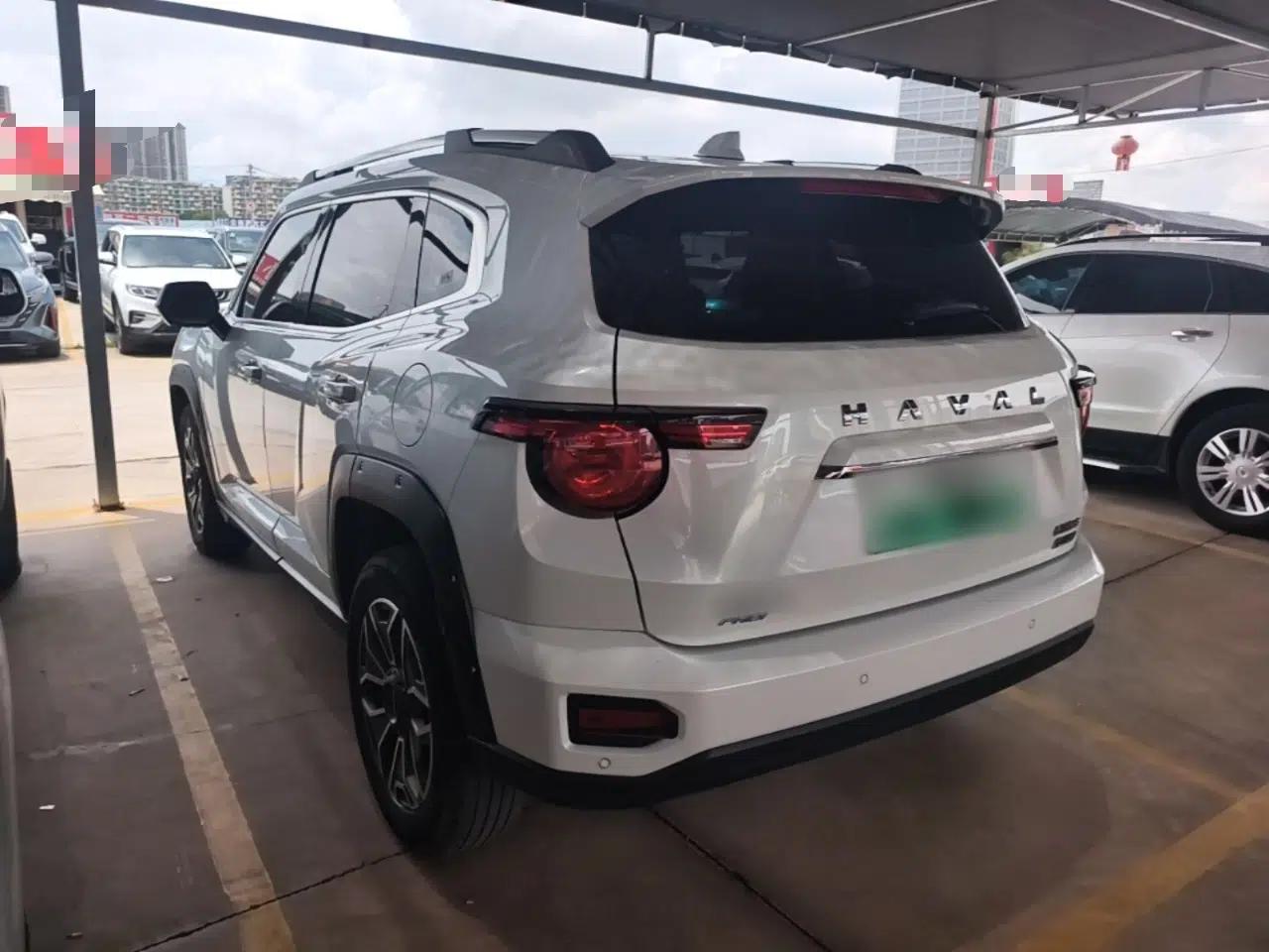 Haval H Dog New Energy 2023 DHT-PHEV 105km Tide Electric Version Plus — миниатюра 4