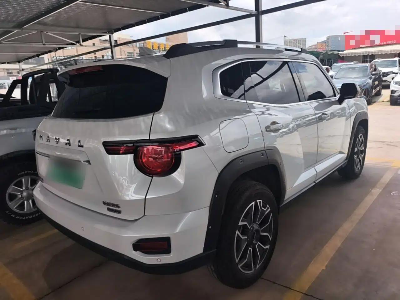 Haval H Dog New Energy 2023 DHT-PHEV 105km Tide Electric Version Plus — миниатюра 6