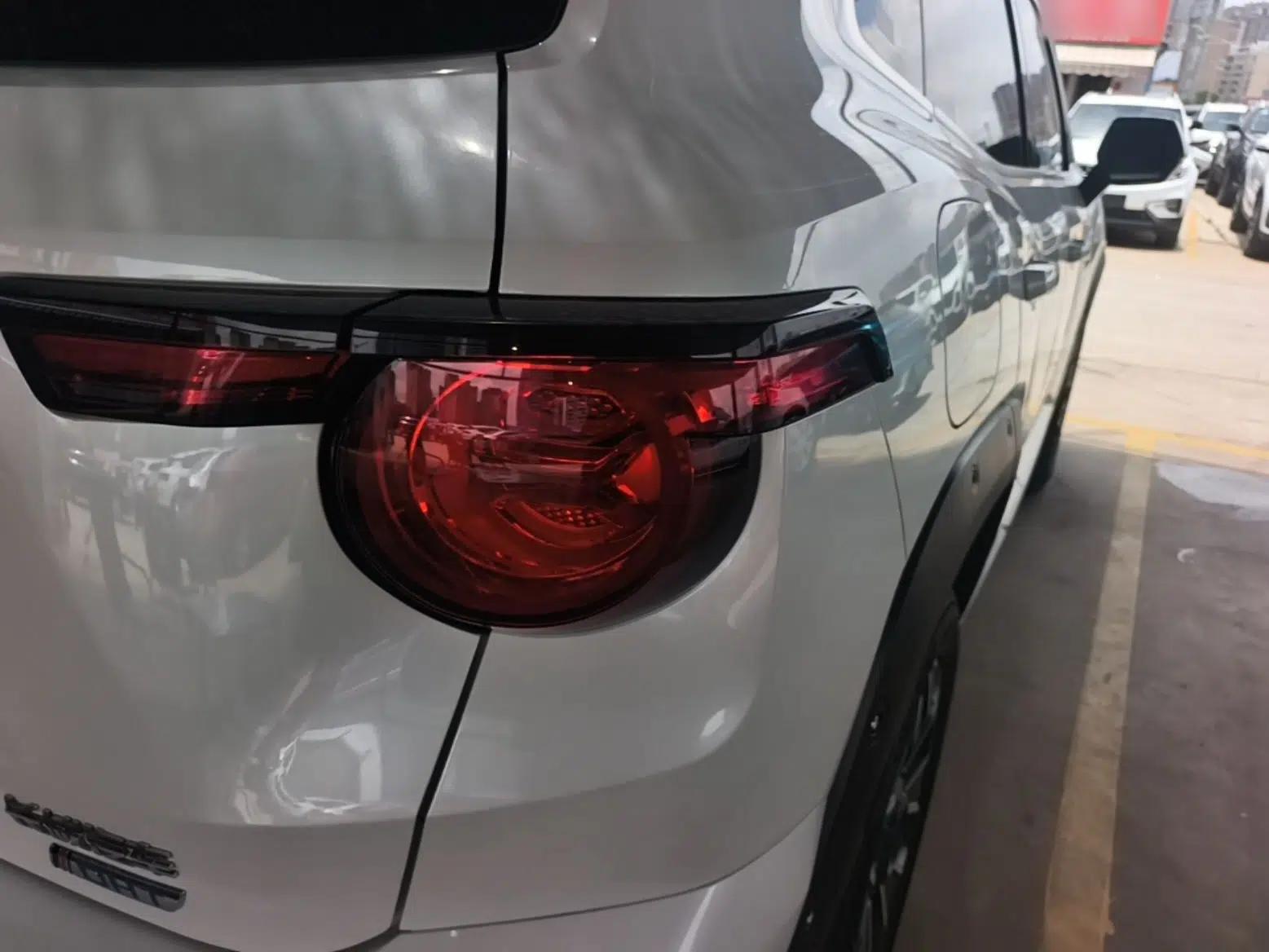 Haval H Dog New Energy 2023 DHT-PHEV 105km Tide Electric Version Plus — миниатюра 9