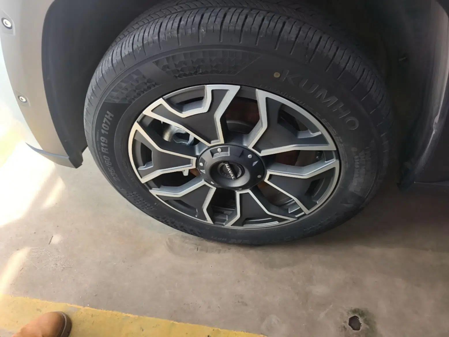 Haval H Dog New Energy 2023 DHT-PHEV 105km Tide Electric Version Plus — миниатюра 10