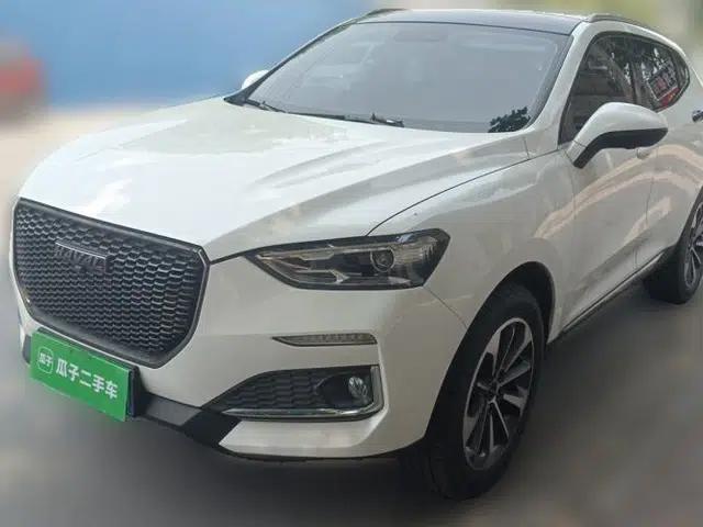 Haval F5 2019 National Trend Edition 1.5T i-Trend China VI Standard