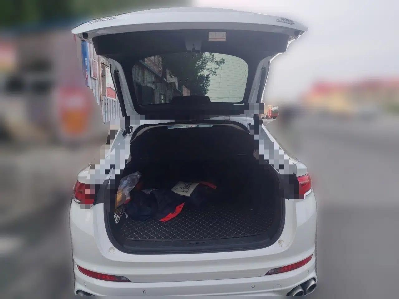 Geely Auto Monjaro 2020 High-Energy Edition 350T Yáoxīngzhě — миниатюра 19