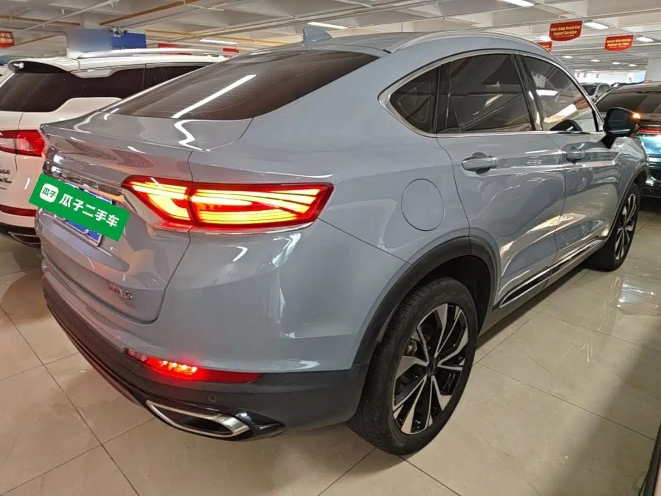 Geely Auto Monjaro S 2021 2.0TD DCT Two-Wheel Drive Lightning Edition — миниатюра 6