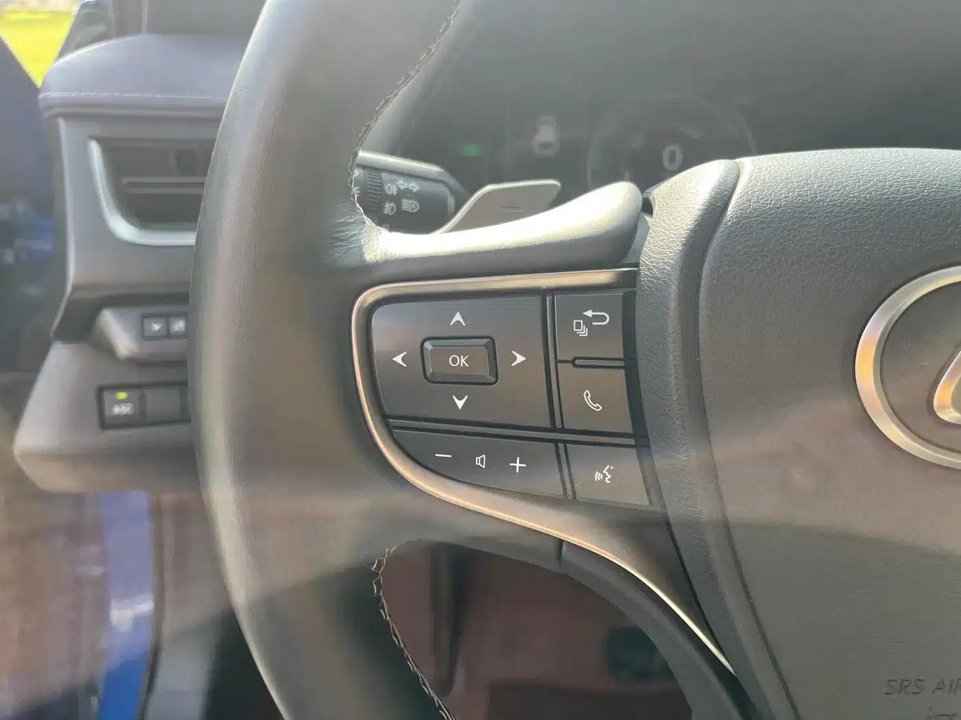 Lexus UX PHEV 2020 300e Pure Enjoyment Edition — миниатюра 19
