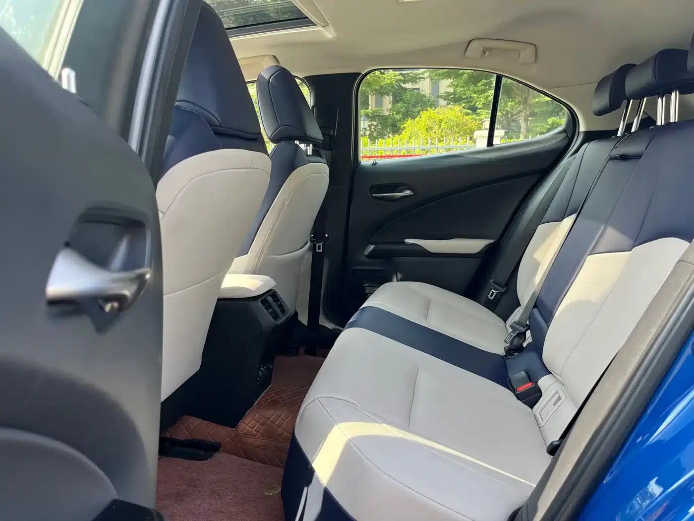 Lexus UX PHEV 2020 300e Pure Enjoyment Edition — миниатюра 28