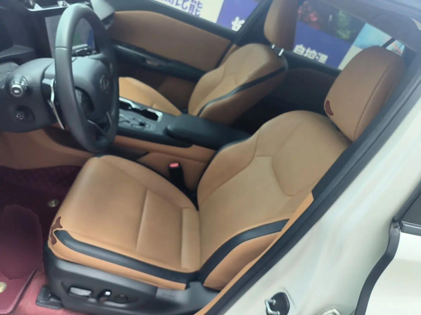 Lexus RZ 2023 450e All-Wheel Drive Luxury Edition — миниатюра 17