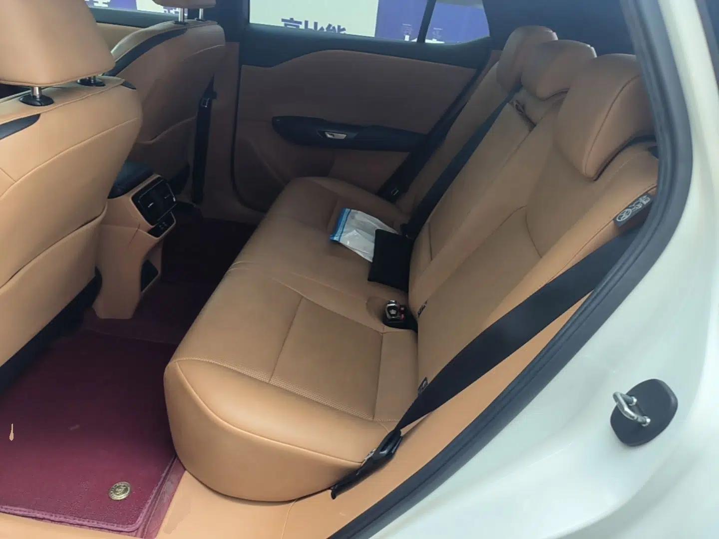 Lexus RZ 2023 450e All-Wheel Drive Luxury Edition — миниатюра 20