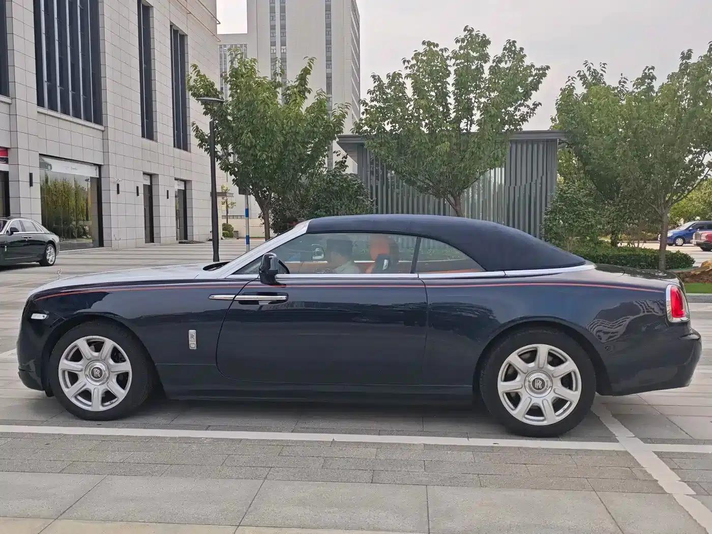 2015 Dawn 6.6T Standard Edition — миниатюра 2