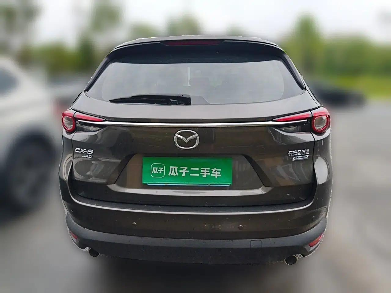 Mazda CX-8 2019 2.5L Four-Wheel Drive Deluxe Edition — миниатюра 5