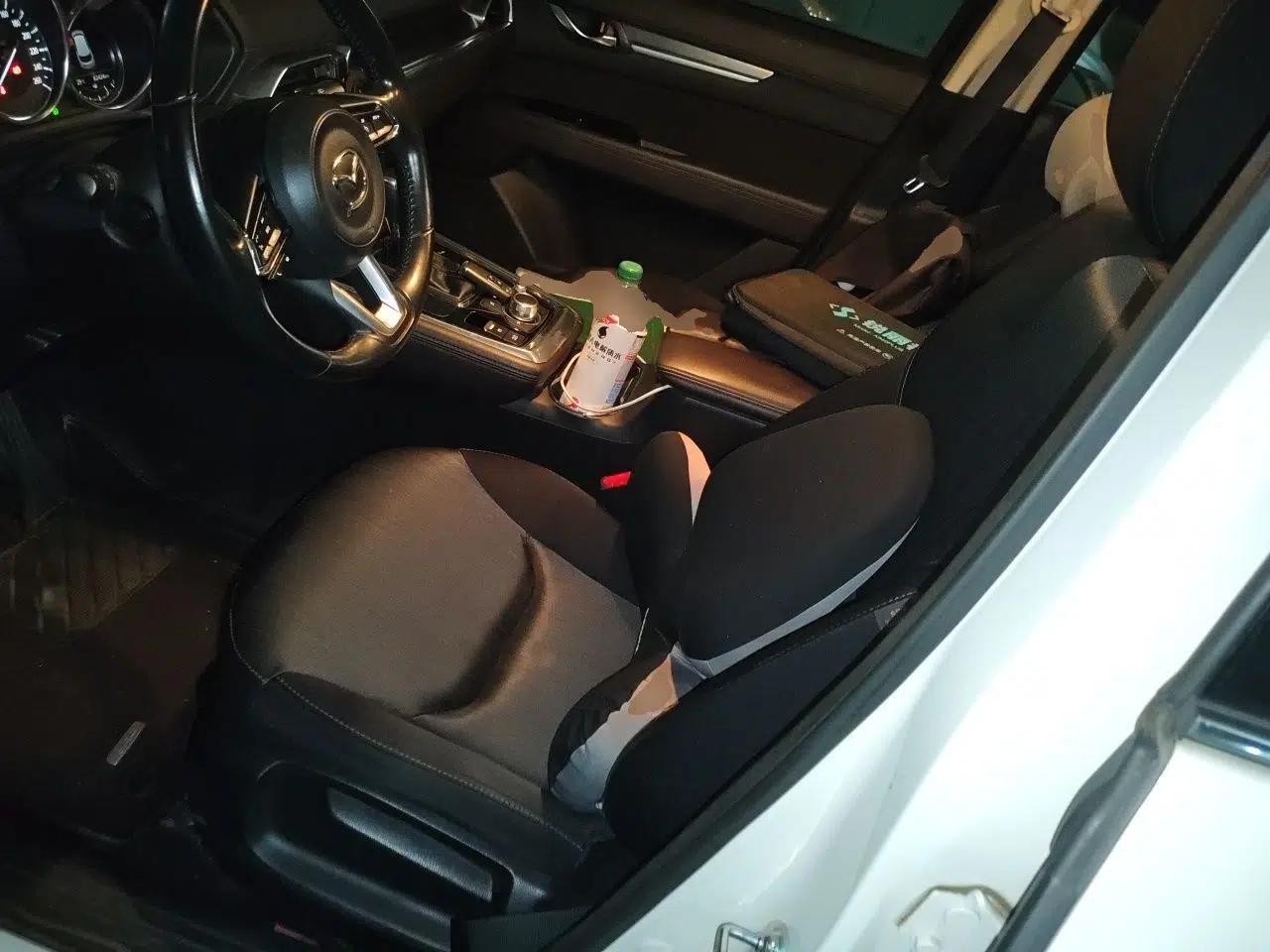 Mazda CX-8 2019 2.5L Two-Wheel Drive Luxury Version — миниатюра 15
