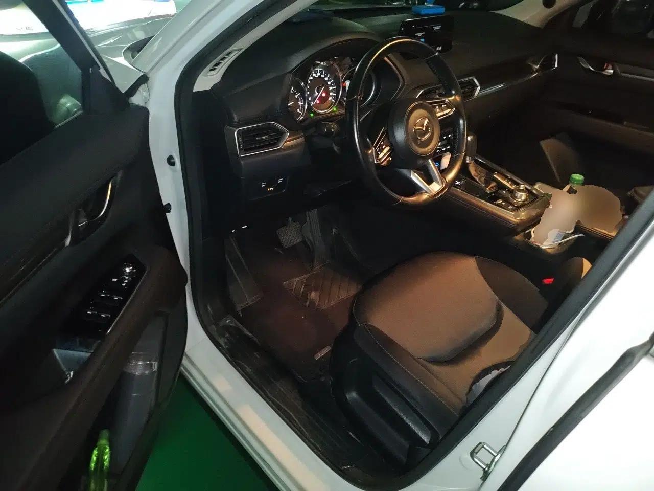 Mazda CX-8 2019 2.5L Two-Wheel Drive Luxury Version — миниатюра 16