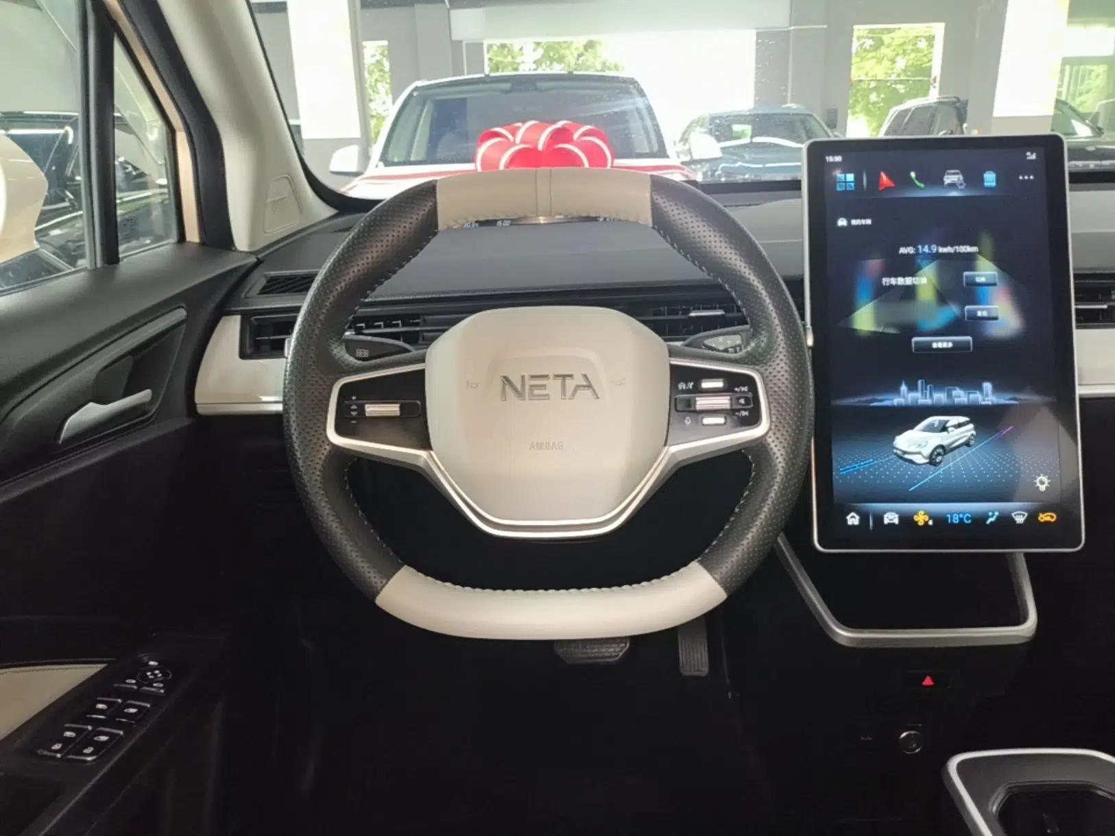 NETA AYA 2023 401 Lite — миниатюра 18
