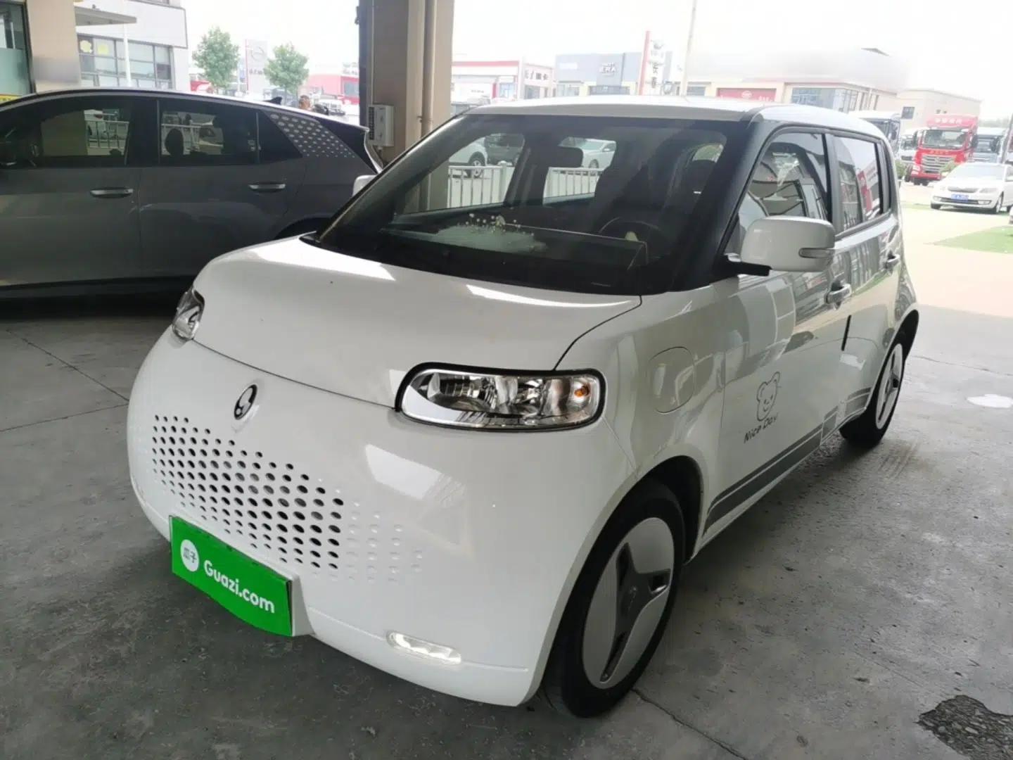 ORA White Cat 2022 Upgraded Model 305km Comfort Version Lithium-Ion Battery — миниатюра 1
