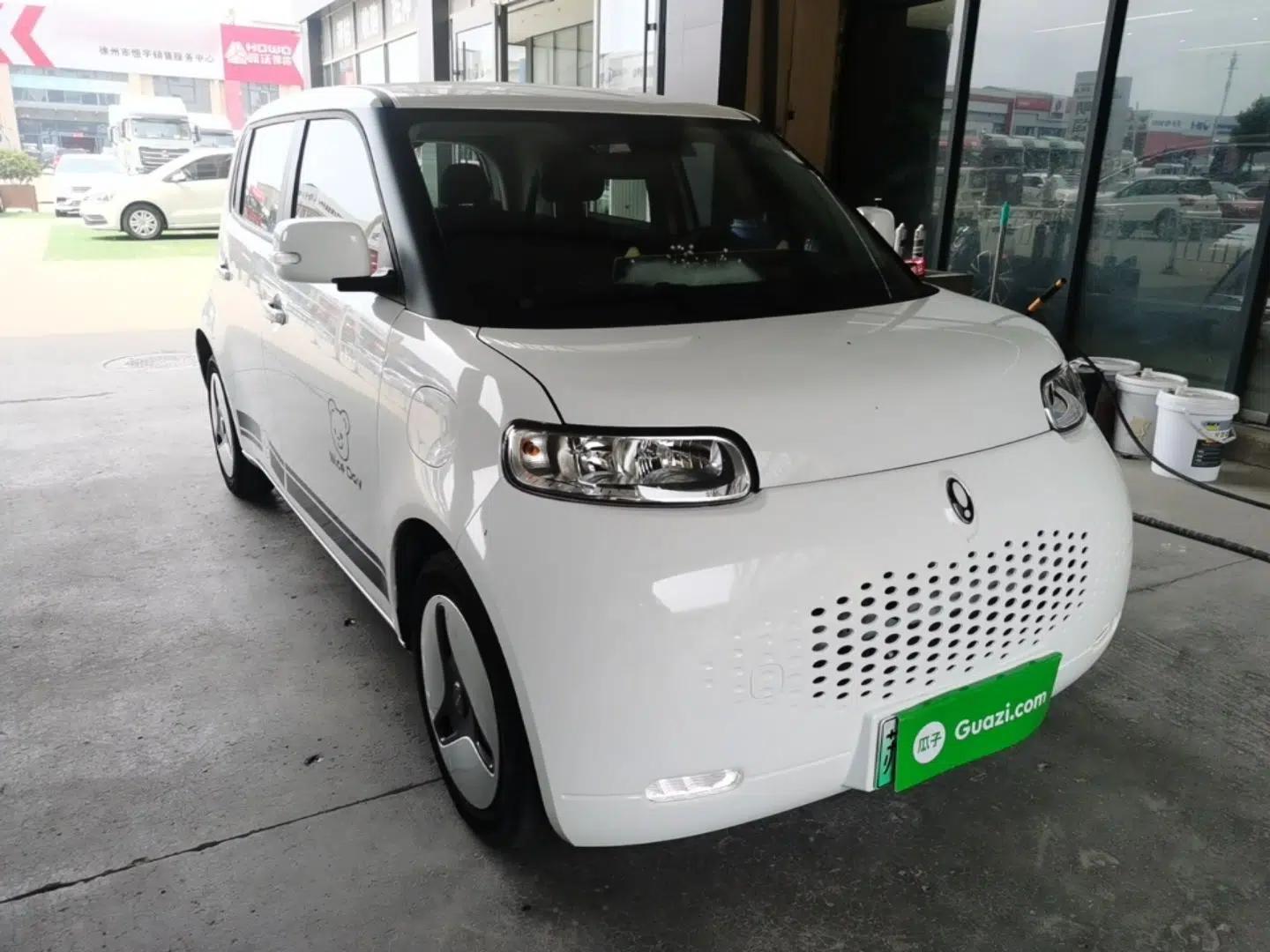 ORA White Cat 2022 Upgraded Model 305km Comfort Version Lithium-Ion Battery — миниатюра 3
