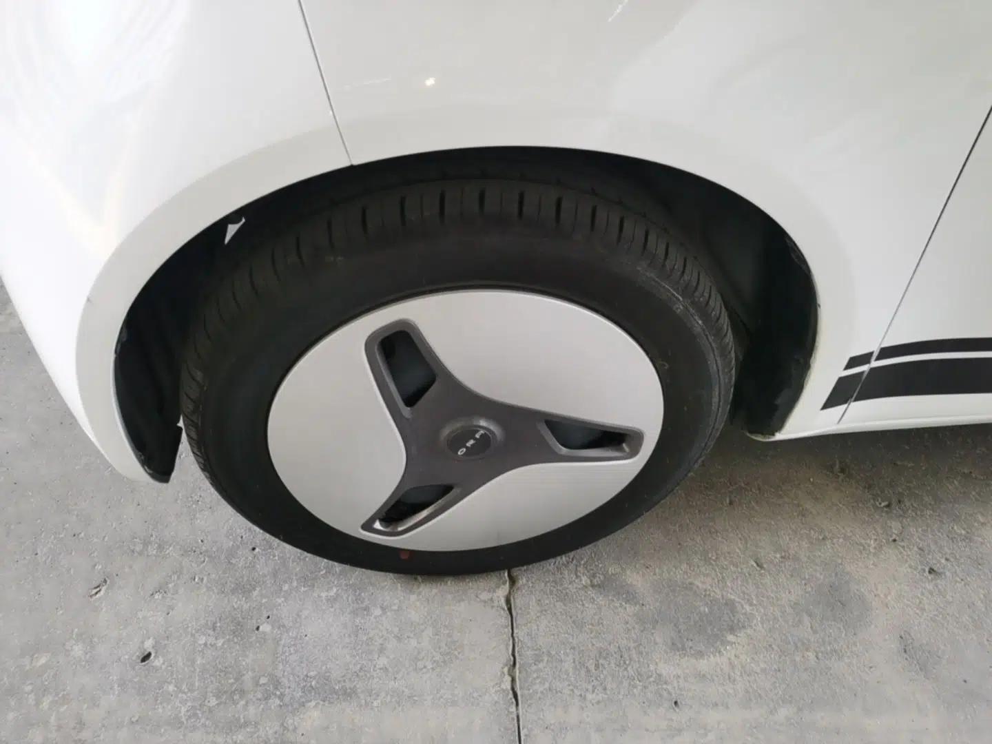 ORA White Cat 2022 Upgraded Model 305km Comfort Version Lithium-Ion Battery — миниатюра 10