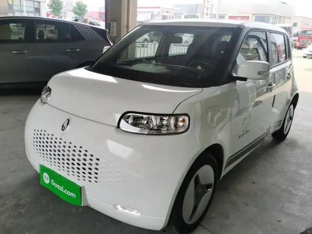 ORA White Cat 2022 Upgraded Model 305km Comfort Version Lithium-Ion Battery