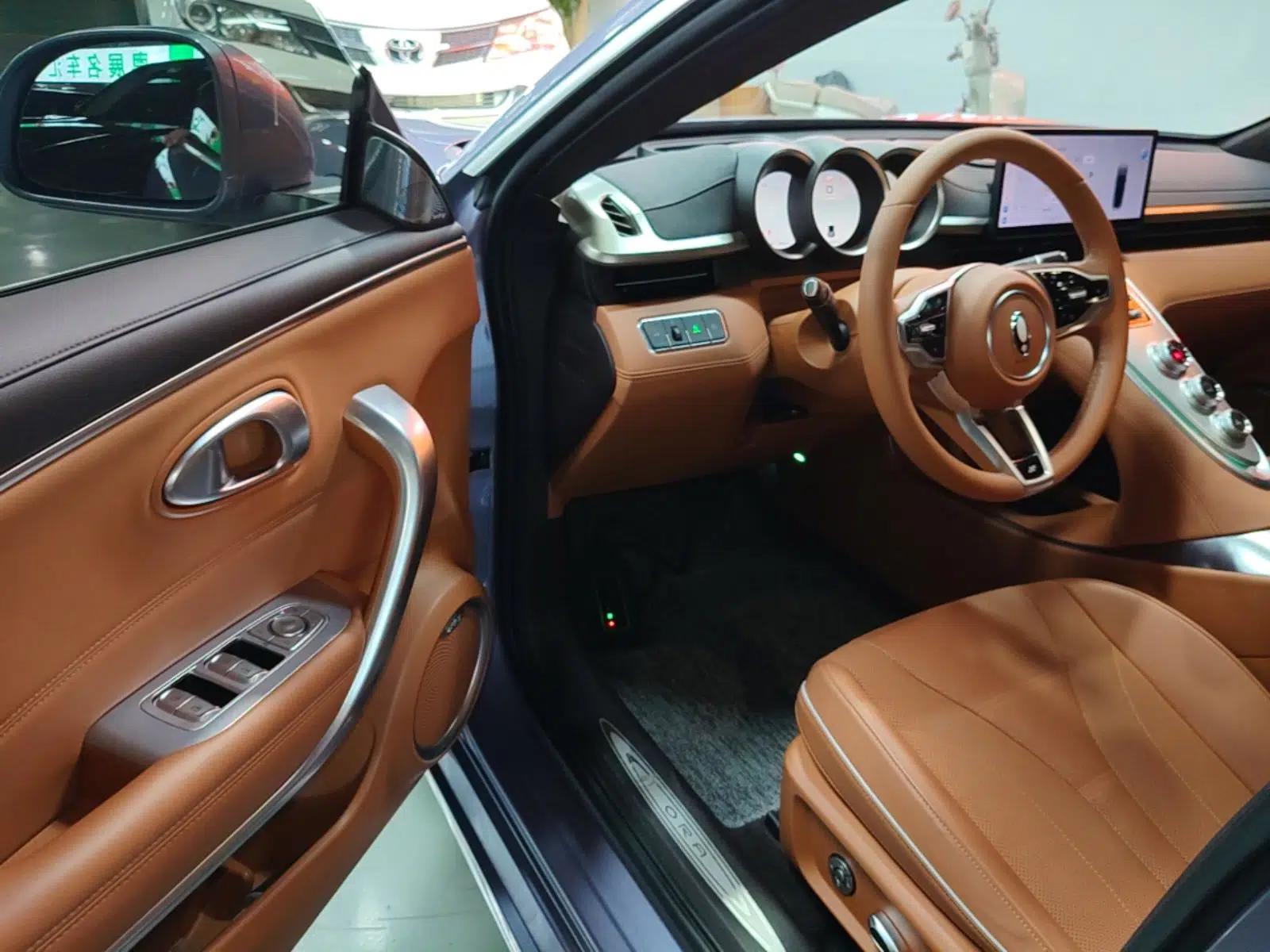 ORA Lightning Cat 2022 555 km Luxury Edition — миниатюра 18