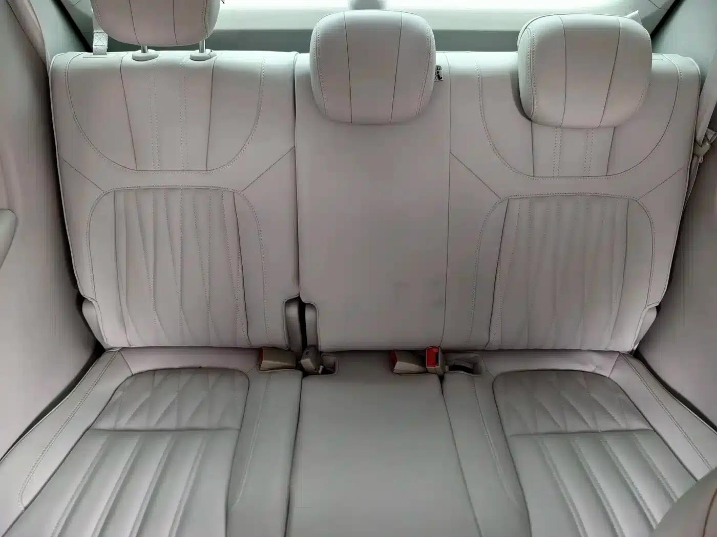 Roewe iMAX8 New Energy 2022 First Class Platinum Edition — миниатюра 10