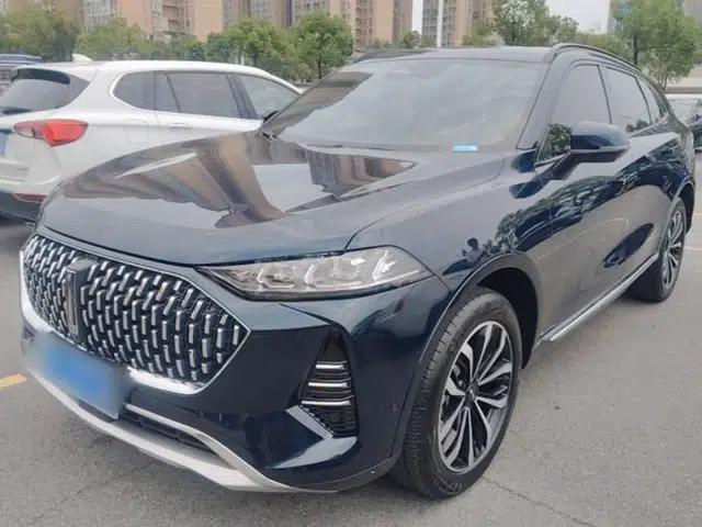 Wey Mocha 2021 2.0T Two-Wheel-Drive Premium Edition
