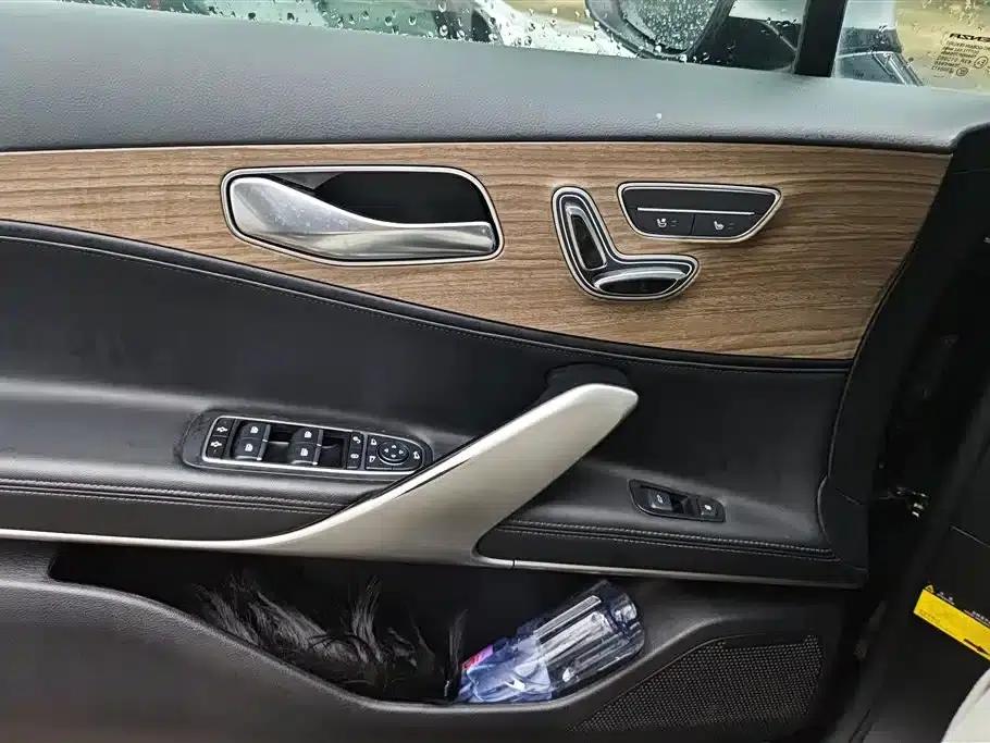 Denza X 2020 PHEV Classic Edition — миниатюра 7
