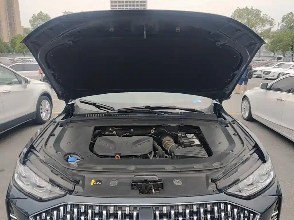 Wey brand Mocha 2021 2.0T 2WD Special Edition — миниатюра 20