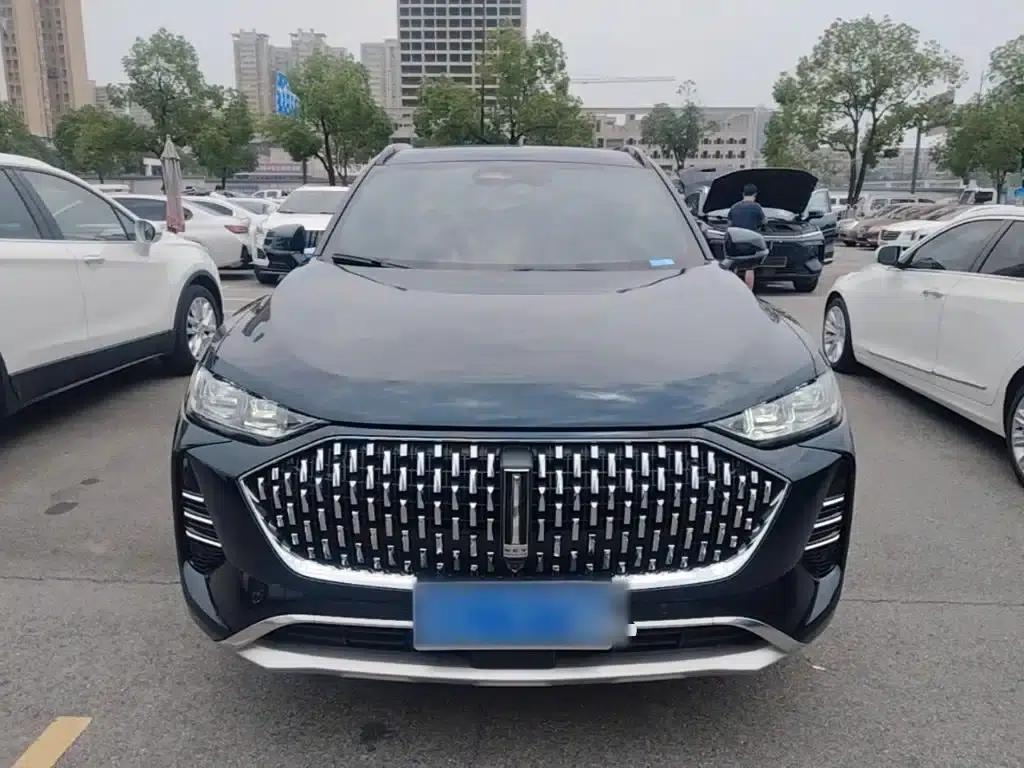 Wey brand Mocha 2021 2.0T 2WD Special Edition — миниатюра 3