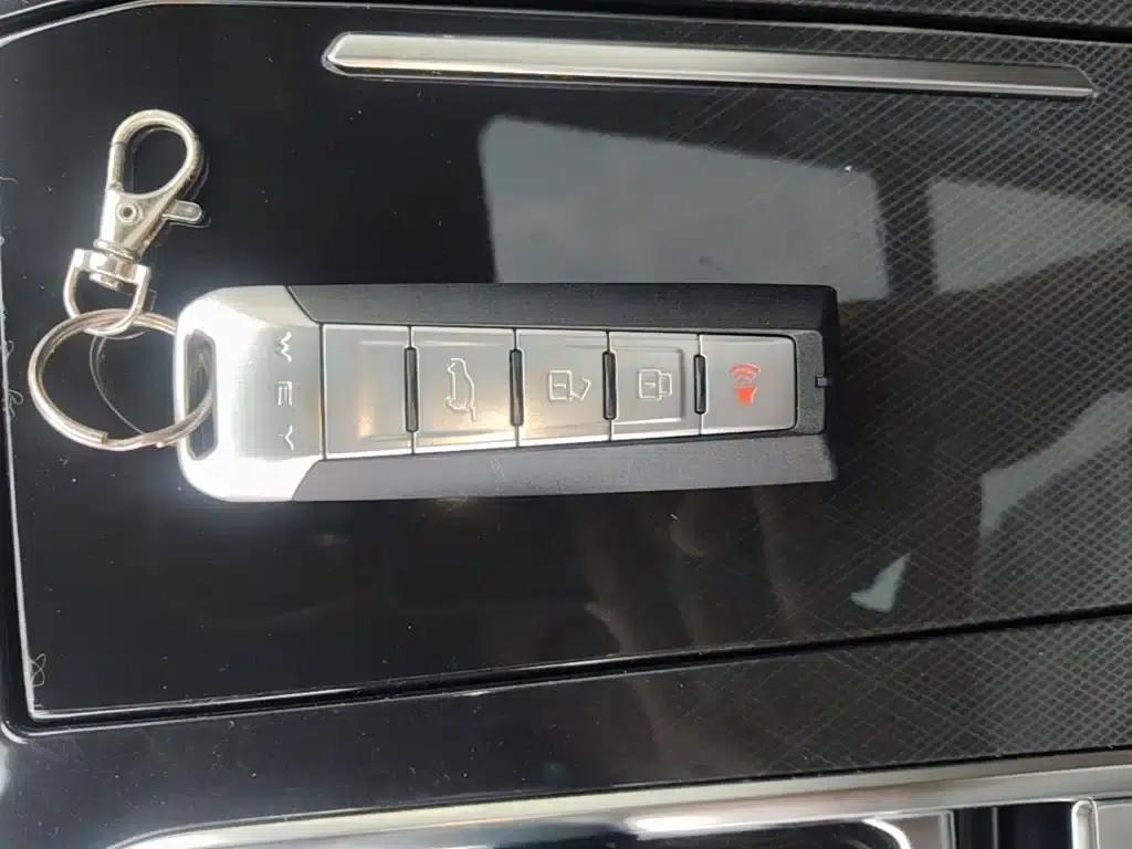 Wey brand Mocha 2021 2.0T 2WD Special Edition — миниатюра 9