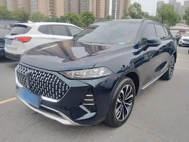 Wey brand Mocha 2021 2.0T 2WD Special Edition
