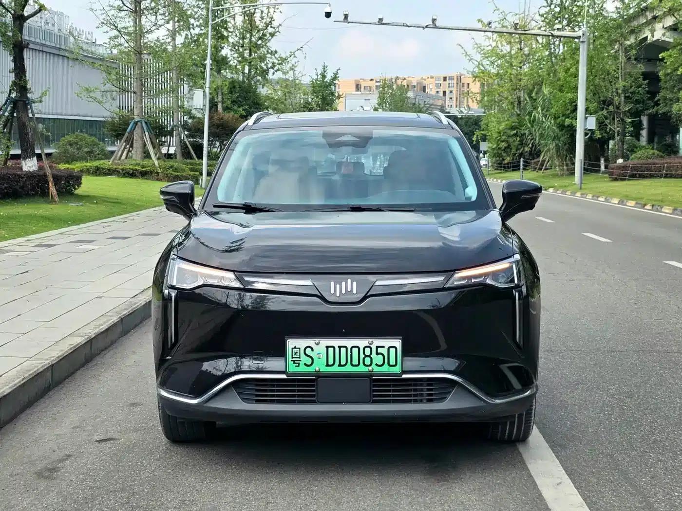 Weltmeister W6 2021 520km PRO All-Round Edition — миниатюра 2