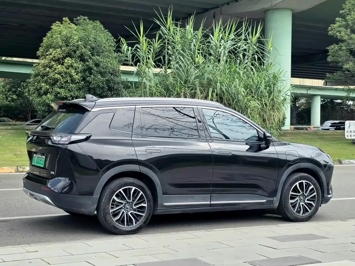 Weltmeister W6 2021 520km PRO All-Round Edition — миниатюра 5