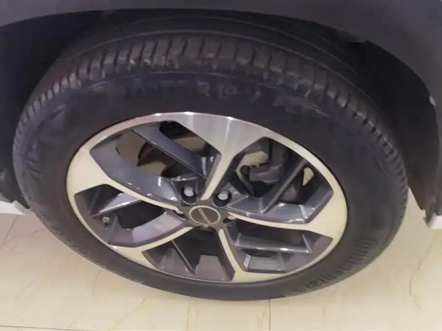 2022 Exeed Chasing Wind Versailles Edition 1.6T DCT Wind Chasing Edition — миниатюра 6