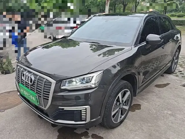Audi Q2L e-tron 2019 Q2L e-tron Pure Electric Smart Enjoyment Model