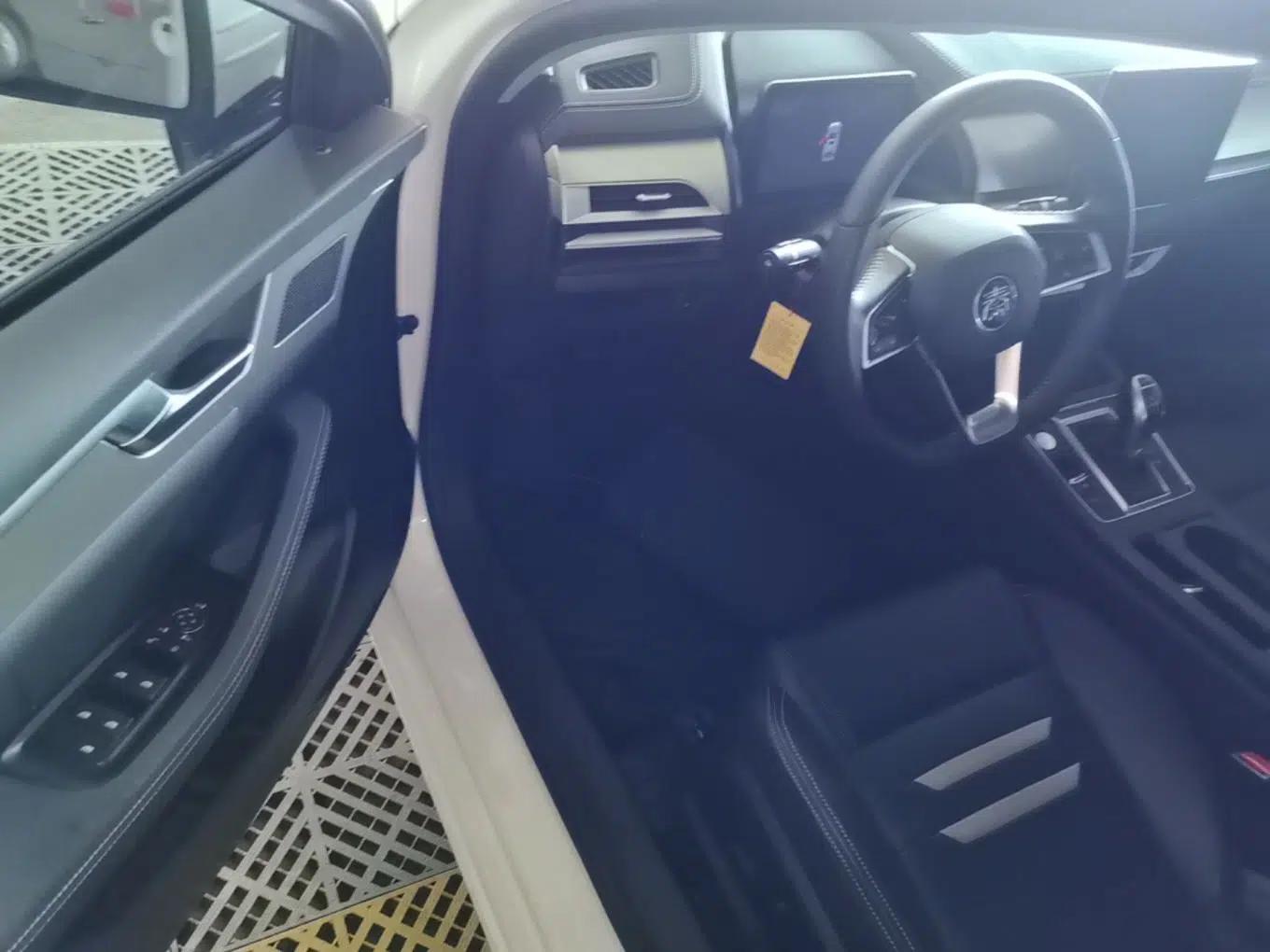 BYD Qin Pro 2020 Beyond Edition 1.5TI Automatic Flagship Version — миниатюра 18