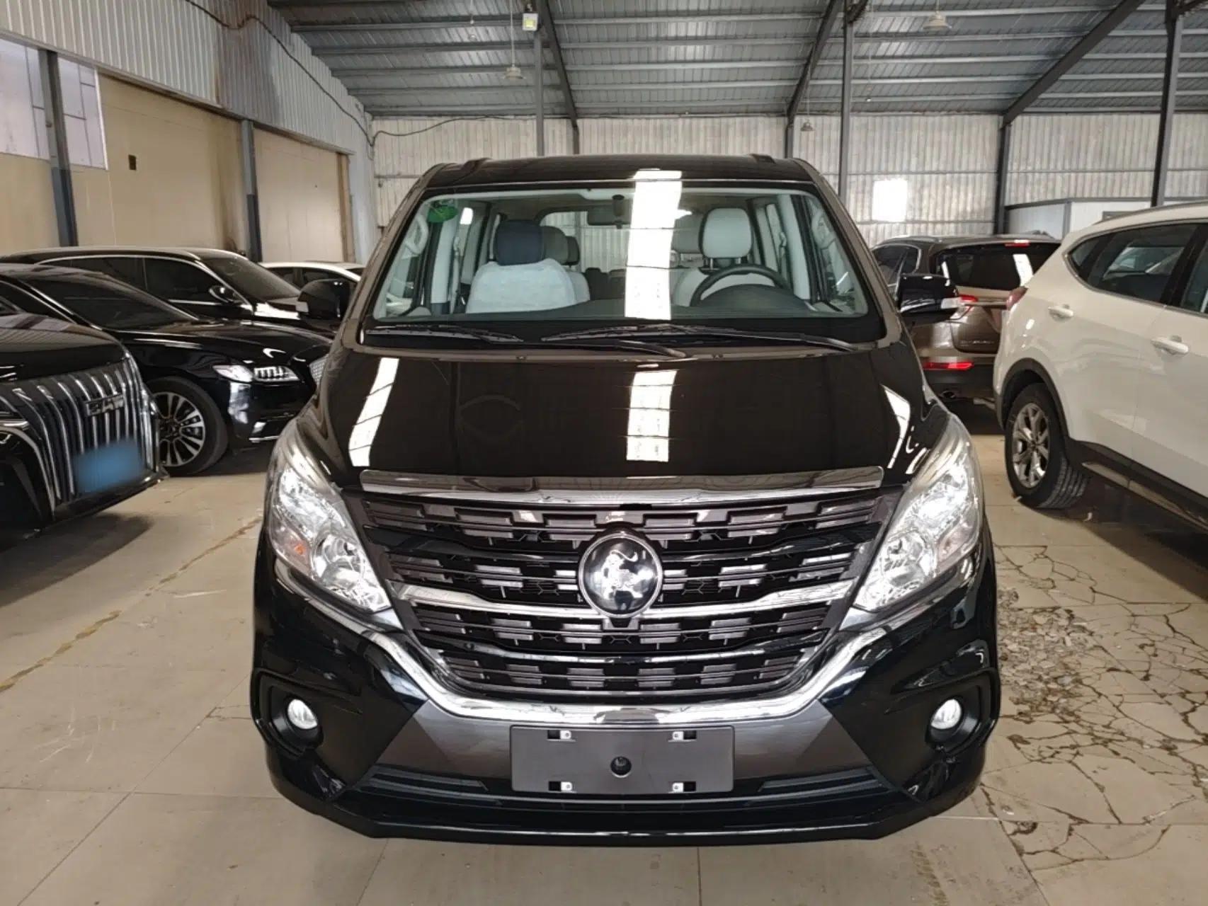 FORTHING Lingzhi PLUS 2025 Model 1.5T Manual Luxury Edition 7-seater — миниатюра 2