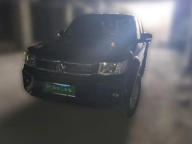Dongfeng Ruichi 2023 2.4L Gasoline Two-Wheel-Drive Base Model for Entrepreneurship Model 2TZH