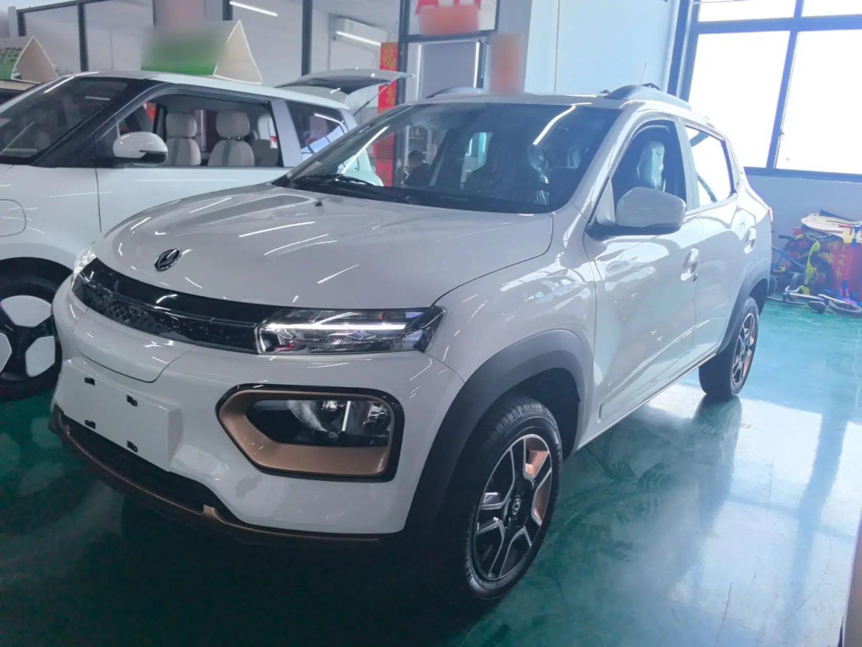 Dongfeng NAMMI BOX 2022 Chasing Wind Edition 331 km Standard Model — миниатюра 1