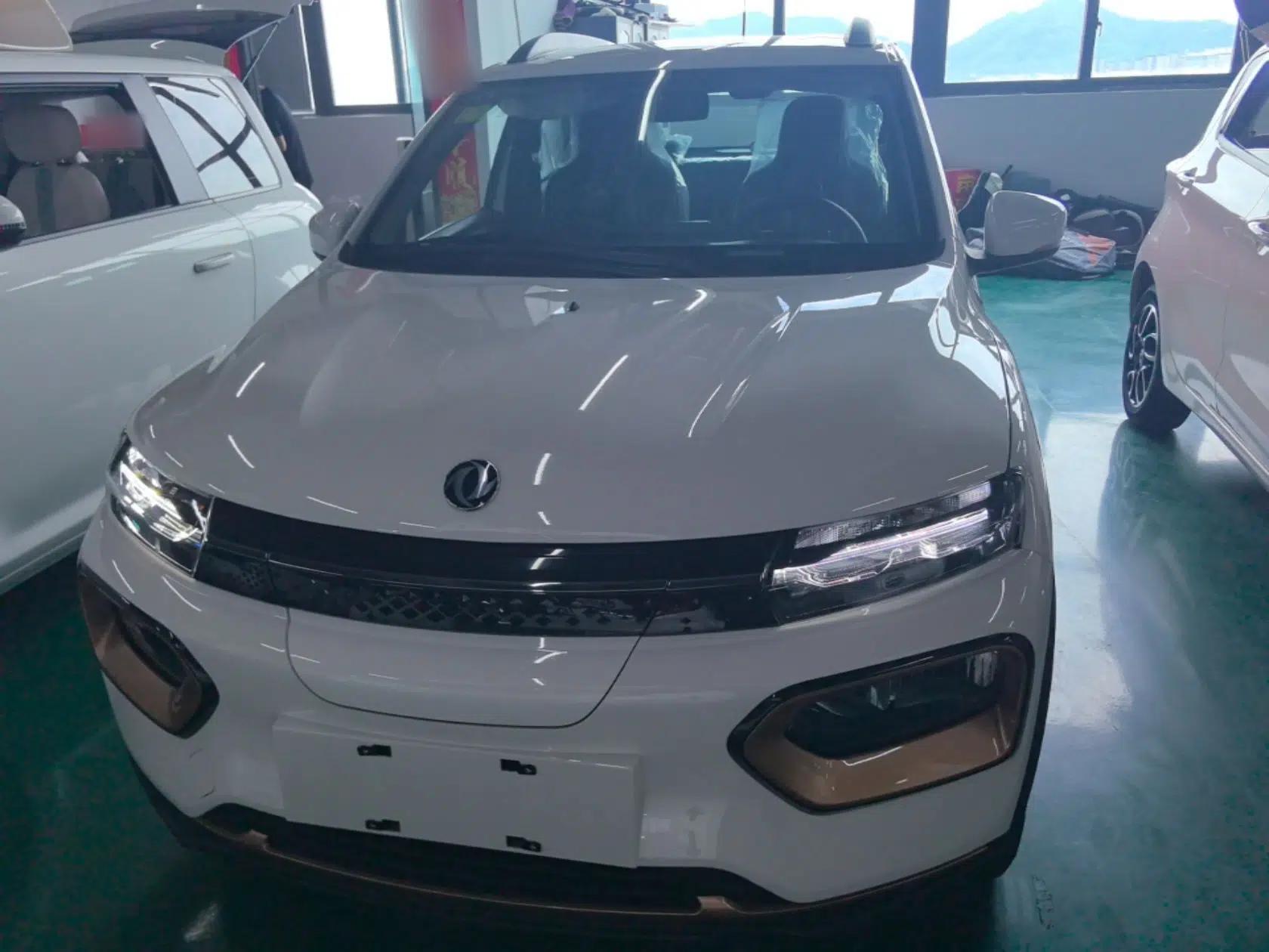 Dongfeng NAMMI BOX 2022 Chasing Wind Edition 331 km Standard Model — миниатюра 2