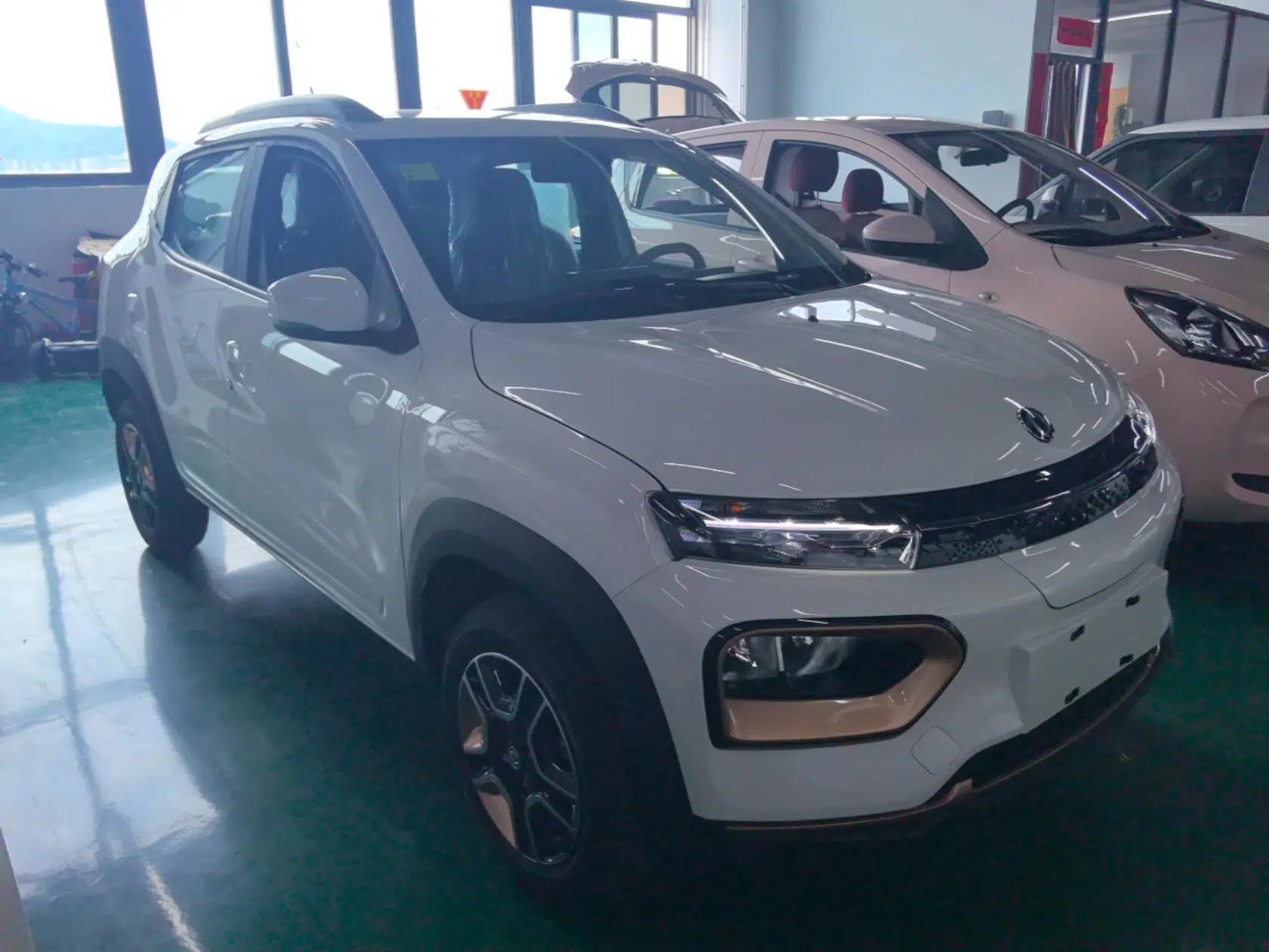 Dongfeng NAMMI BOX 2022 Chasing Wind Edition 331 km Standard Model — миниатюра 3