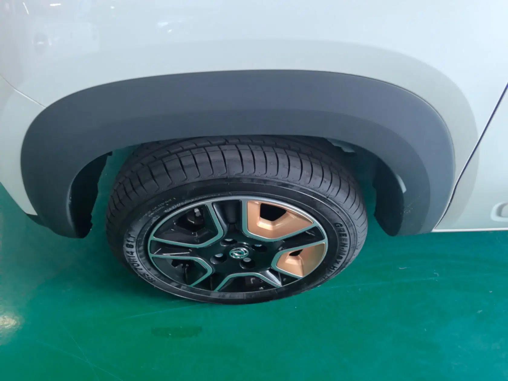 Dongfeng NAMMI BOX 2022 Chasing Wind Edition 331 km Standard Model — миниатюра 10