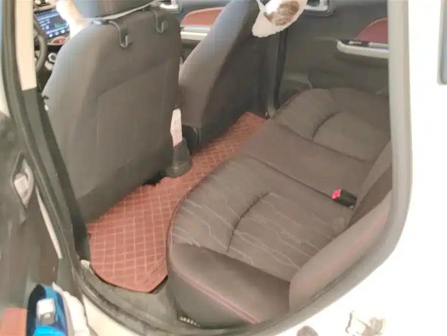 Benben EV 2018 EV260 Standard Edition — миниатюра 11