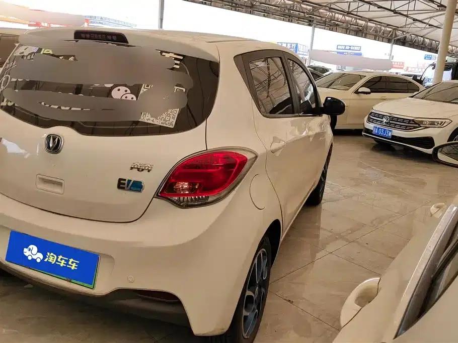 Benben EV 2018 EV260 Standard Edition — миниатюра 3