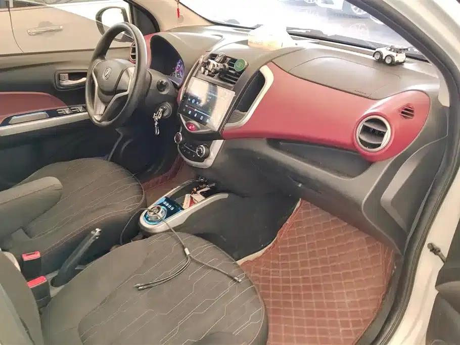Benben EV 2018 EV260 Standard Edition — миниатюра 8