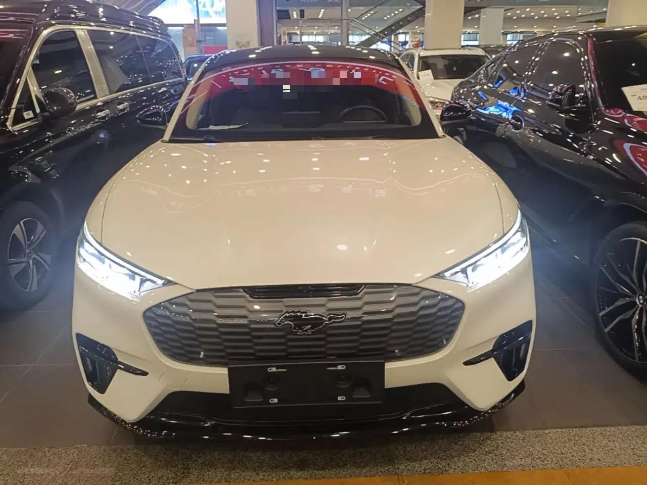 Ford Mustang Mach-E 2021 AION Y Plus Rear-Drive Luxury Edition (Long Range) — миниатюра 2