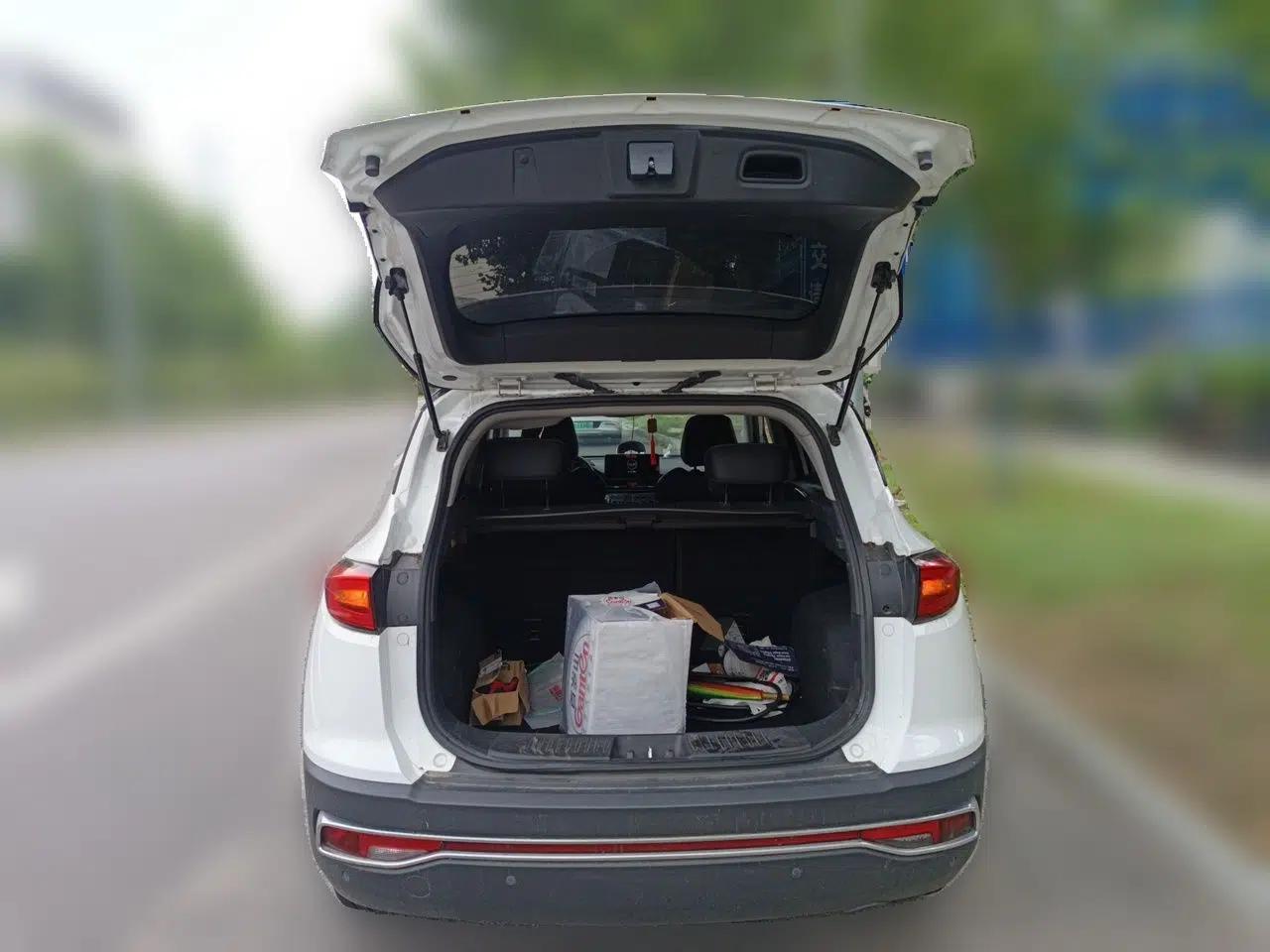JAC Group iEVS4 2019 Luxury Smart Enjoyment Model — миниатюра 19