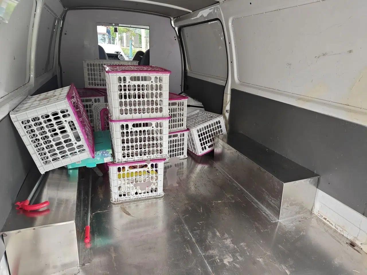 Jinbei Hiace 2014 2.0L 5th Generation Kuaiyunwang Business Version 4G21B — миниатюра 17