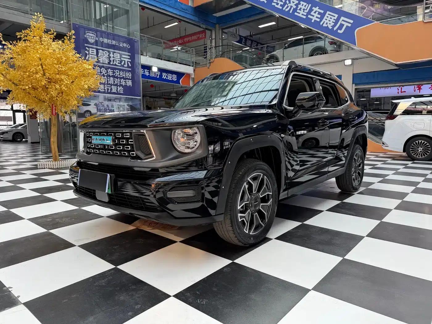 Haval Big Dog PLUS New Energy 2024 Hi4 102km Trendy Electric Edition Plus — миниатюра 1