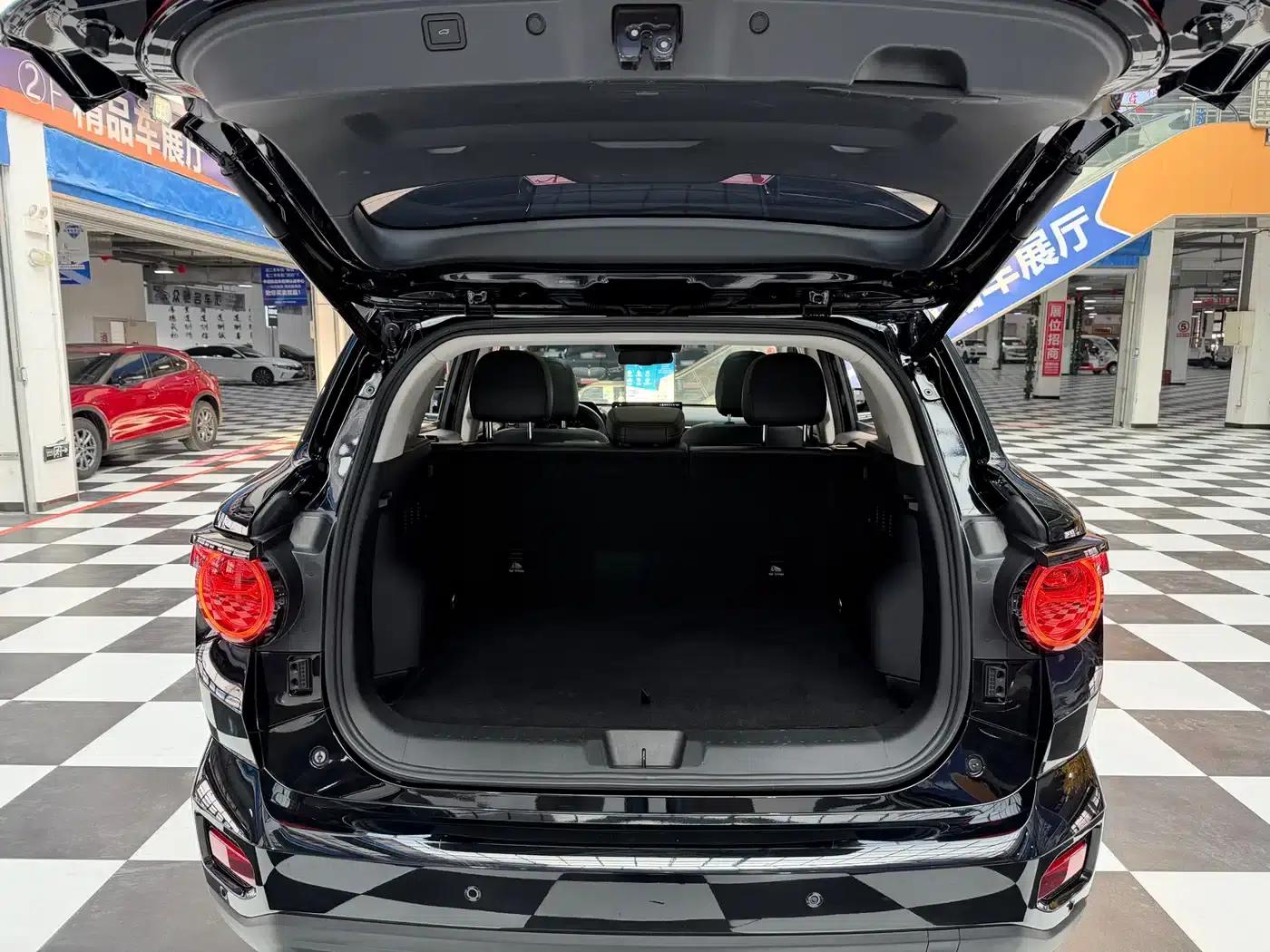 Haval Big Dog PLUS New Energy 2024 Hi4 102km Trendy Electric Edition Plus — миниатюра 15