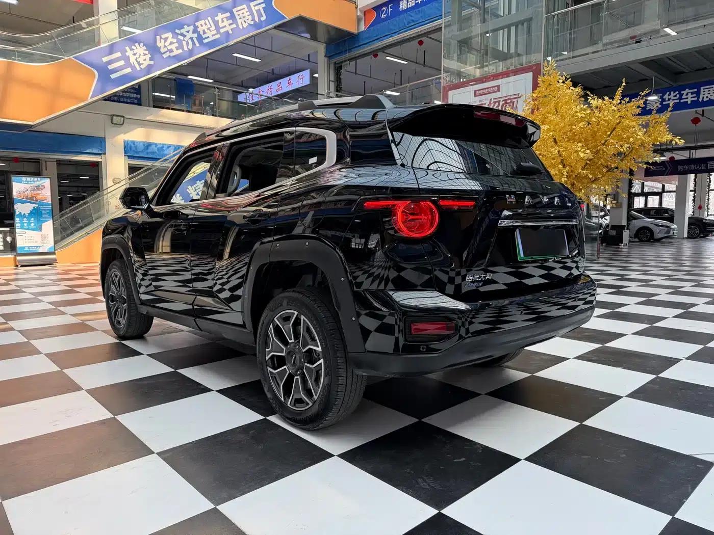 Haval Big Dog PLUS New Energy 2024 Hi4 102km Trendy Electric Edition Plus — миниатюра 16