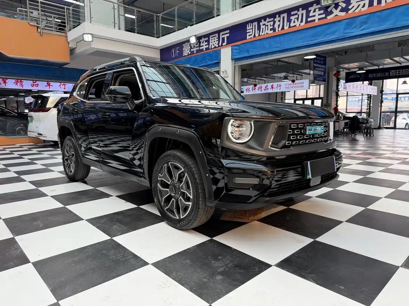 Haval Big Dog PLUS New Energy 2024 Hi4 102km Trendy Electric Edition Plus — миниатюра 3