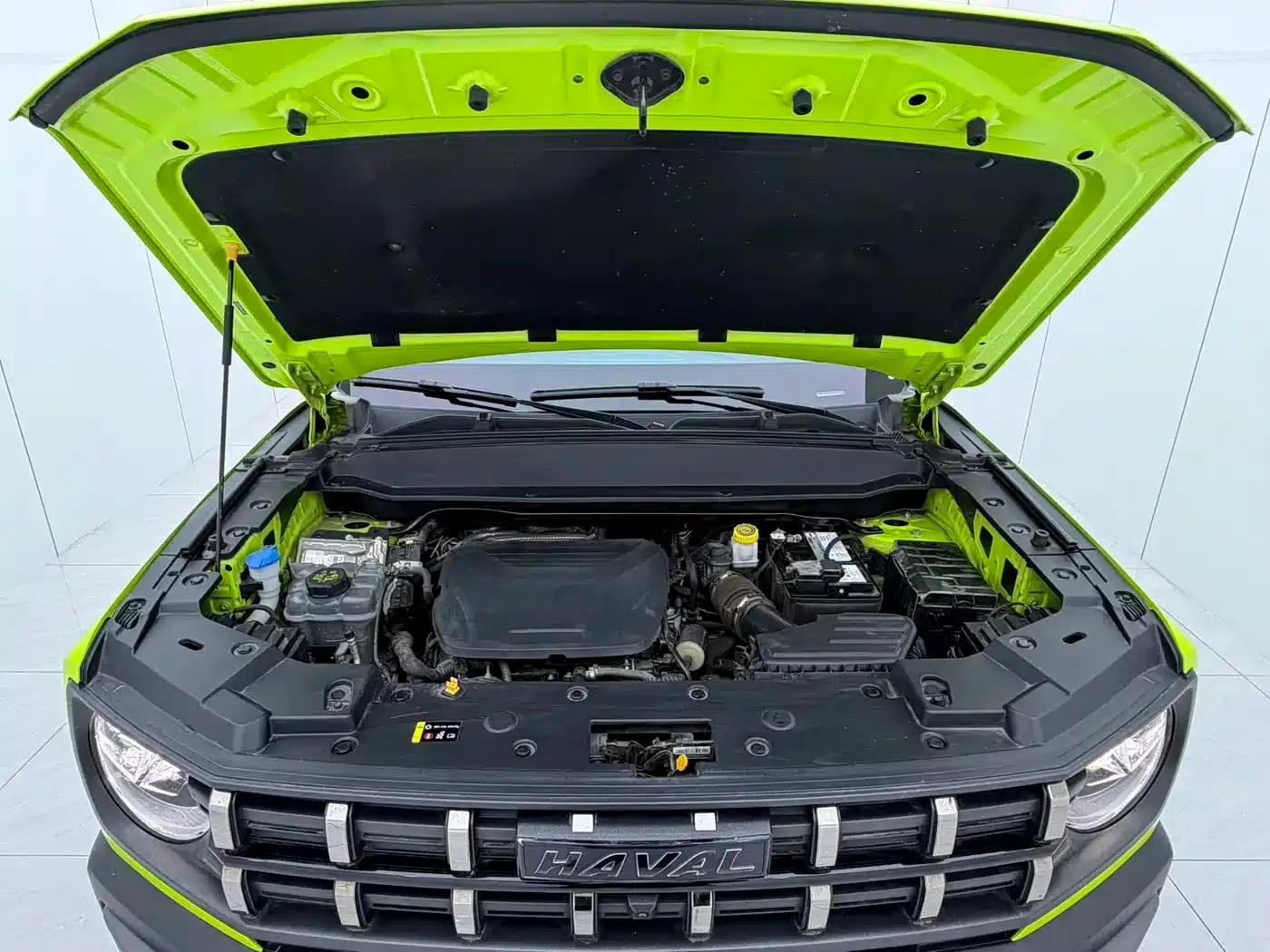 Haval Cool Dog 2022 1.5T DCT 4WD Trendy Wild Edition — миниатюра 16